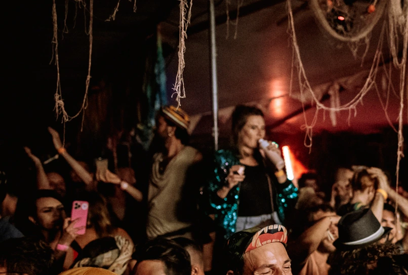 Elite Limo Concerts & Festivals - VIP Transportation for Music Lovers